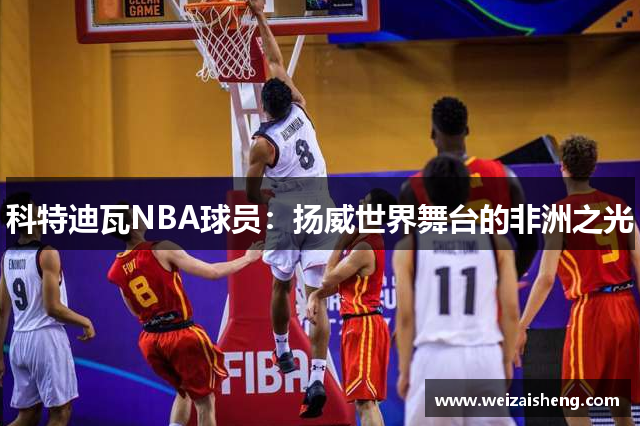 科特迪瓦NBA球员：扬威世界舞台的非洲之光