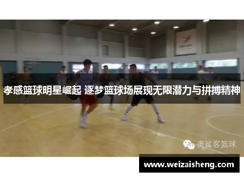 孝感篮球明星崛起 逐梦篮球场展现无限潜力与拼搏精神
