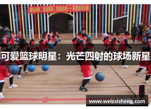 可爱篮球明星：光芒四射的球场新星
