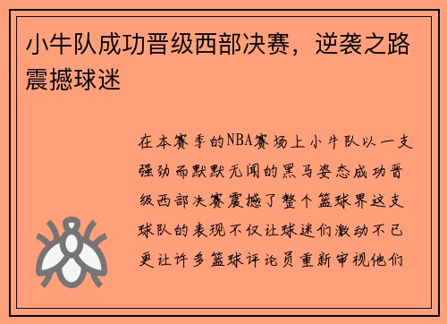 小牛队成功晋级西部决赛，逆袭之路震撼球迷